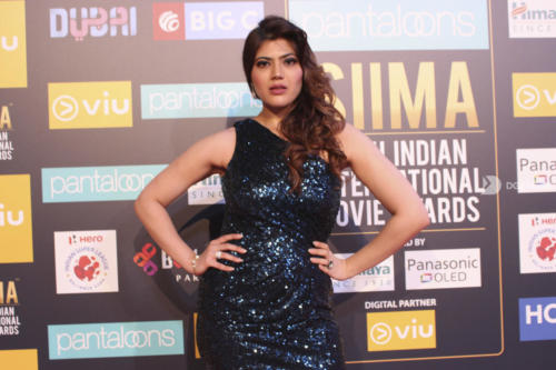 SIIMA 2018 Day 2 Images