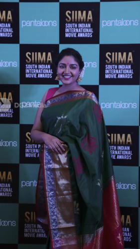 SIIMA 2018 Press Meet Short Film Awards Photo (13)