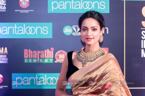 SIIMA 2019 Day 2 - Red Carpet Photo Gallery (100)