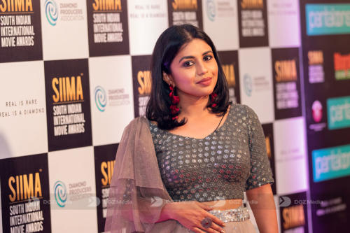 SIIMA 2019 Day 2 - Red Carpet Photo Gallery (11)