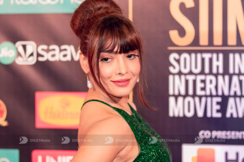 SIIMA 2019 Day 2 - Red Carpet Photo Gallery (133)