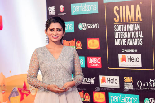 SIIMA 2019 Day 2 - Red Carpet Photo Gallery (2)