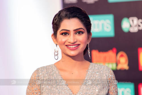 SIIMA 2019 Day 2 - Red Carpet Photo Gallery (3)