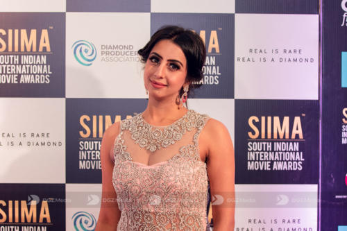 SIIMA 2019 Day 2 - Red Carpet Photo Gallery (52)