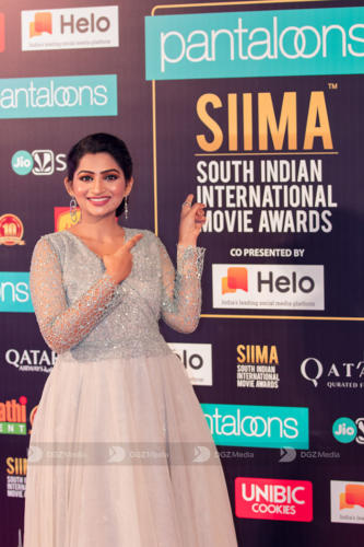 SIIMA 2019 Day 2 - Red Carpet Photo Gallery (6)
