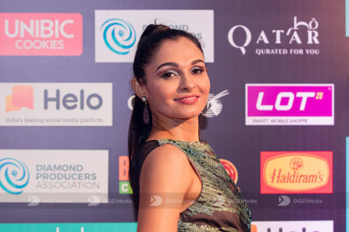 SIIMA 2019 Day 2 - Red Carpet Photo Gallery (63)