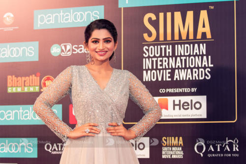 SIIMA 2019 Day 2 - Red Carpet Photo Gallery (8)