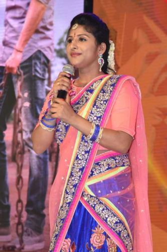 Sailaja Reddy Alludu Pre Release event Photo (7)